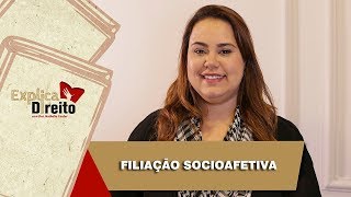 Explica Direito Filiação Socioafetiva  2019 [upl. by Atiz]