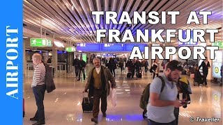 TRANSIT WALK AT FRANKFURT Airport FRA Terminal 1  Connection Flight Transfer Arriving amp Departing [upl. by Ayotna]